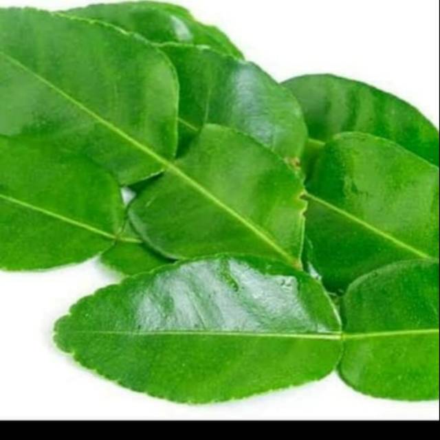

Daun jeruk 50gr