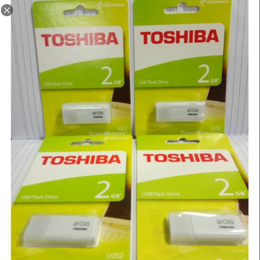 flash disk toshiba 2 gb