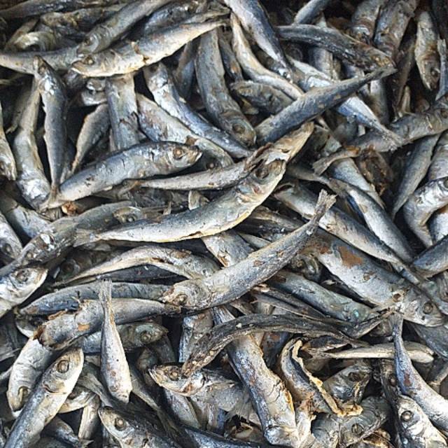 

Ikan Asin Rebusan 100 Gram