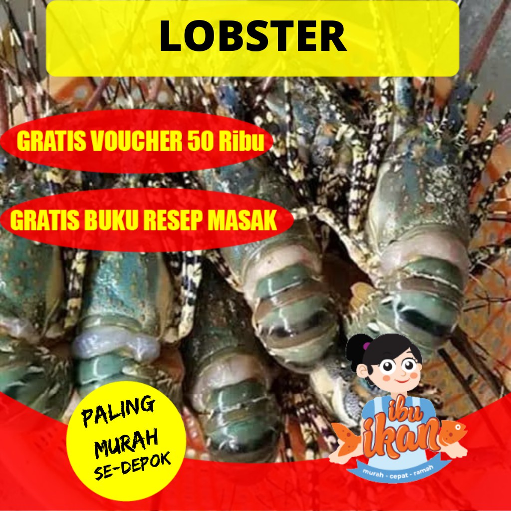 LOBSTER AIR LAUT FRESH KONDISI BEKU FROZEN MURAH UNTUK MAKAN