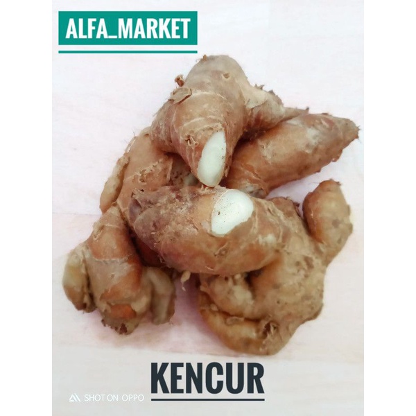 

KENCUR BUMBU DAPUR