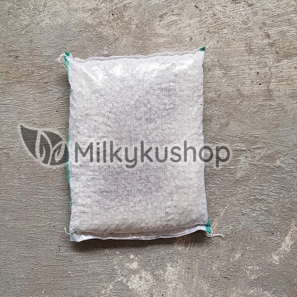 BATU APUNG SEDANG - PUMICE STONE AQUARIUM FILTER