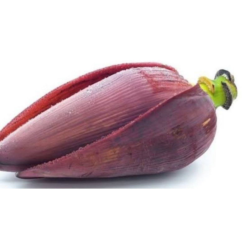 

Jantung pisang kepok/ontong