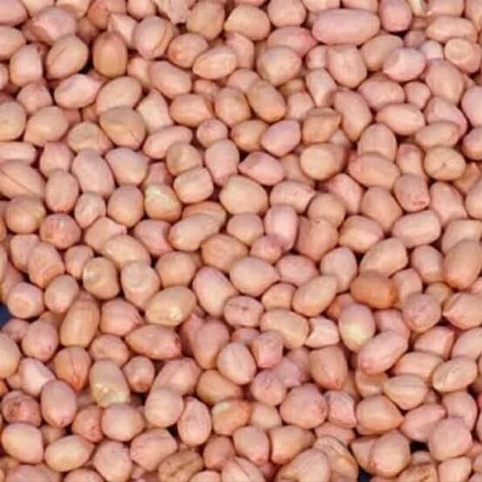 

Kacang tanah 250g