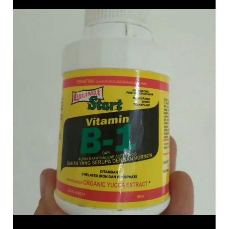 Pupuk Tanaman Vit B1 Liqionese star/Untuk pindahan tanaman
