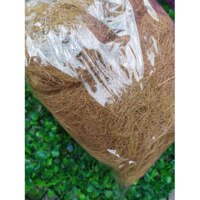 

Coco fiber serabut kelapa Sabut kelapa 500gr