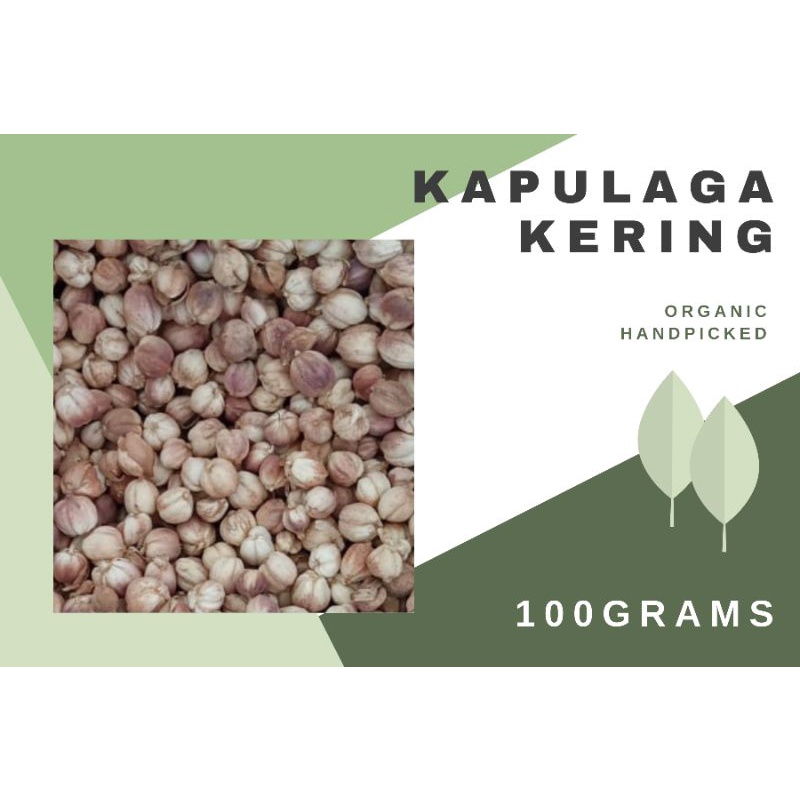 

KAPULAGA JAWA 100 GRAM