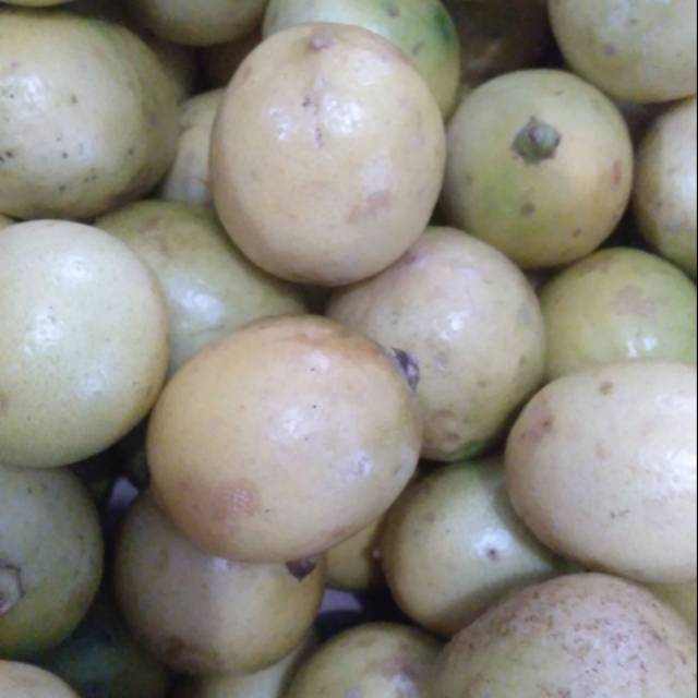 

Lemon tanpa biji