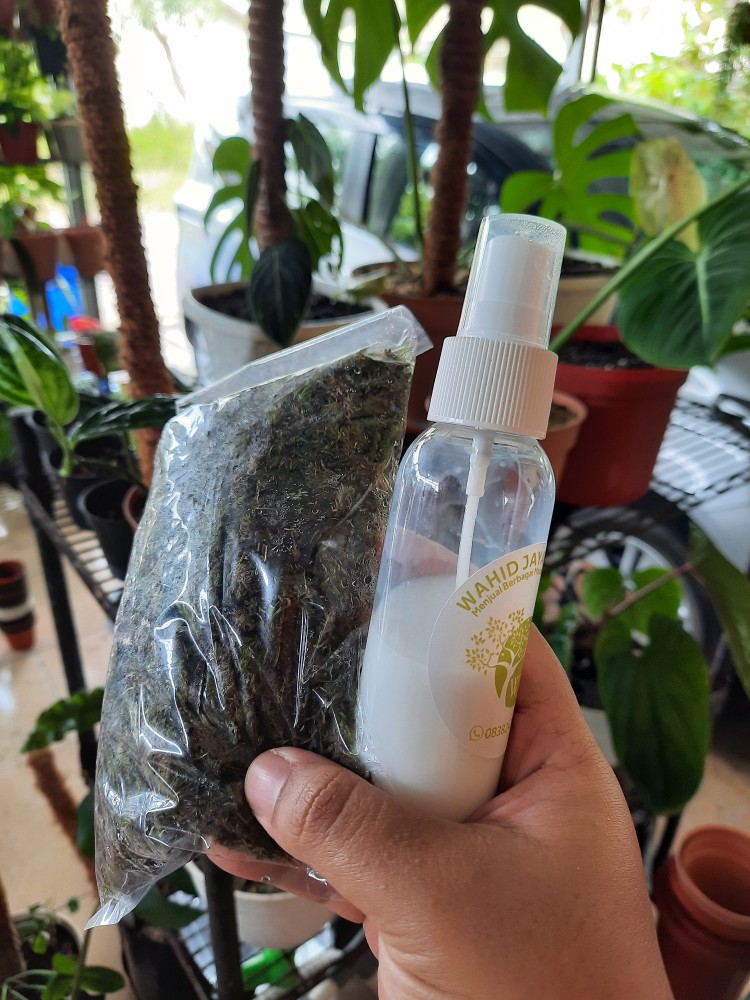 Pengkilap Daun / Leafshine / Praktis Tinggal Semprot
