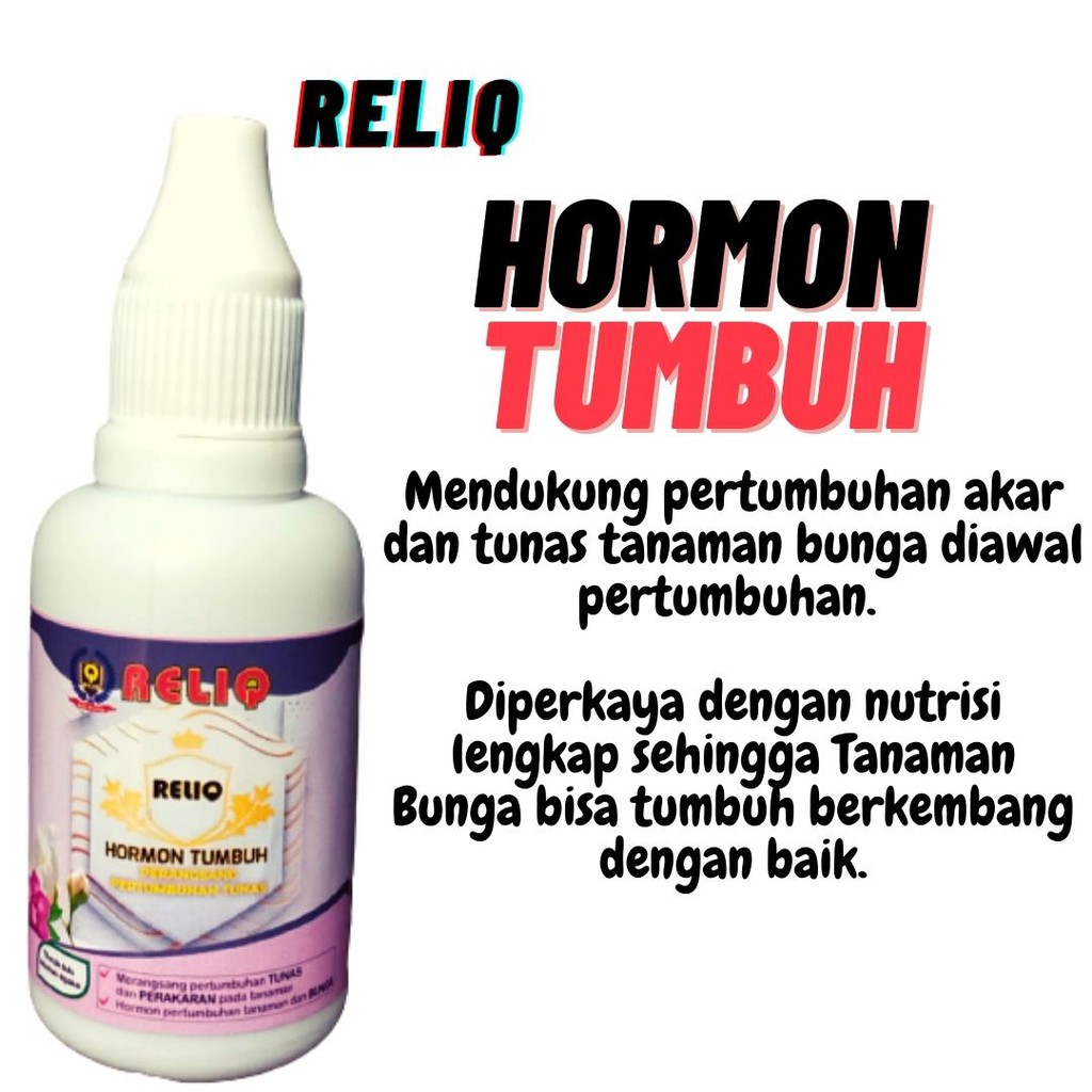 Pupuk Hormon Tunas, Pupuk Hormon Anggrek, Hormon Serum Akar Anggrek Cepat Tumbuh