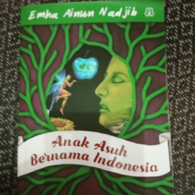DAUR I ANAK ASUH BERNAMA INDONESIA BUKU EMHA AINUN NADJIB CAK NUN