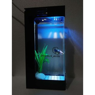 Aquarium Akrilik Aquarium Acrylic Acrylic Aquarium Aquarium