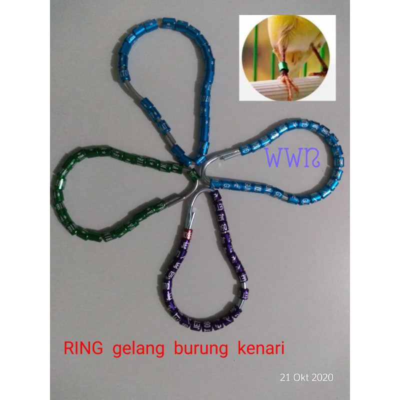 RING kenari, gelang burung kenari