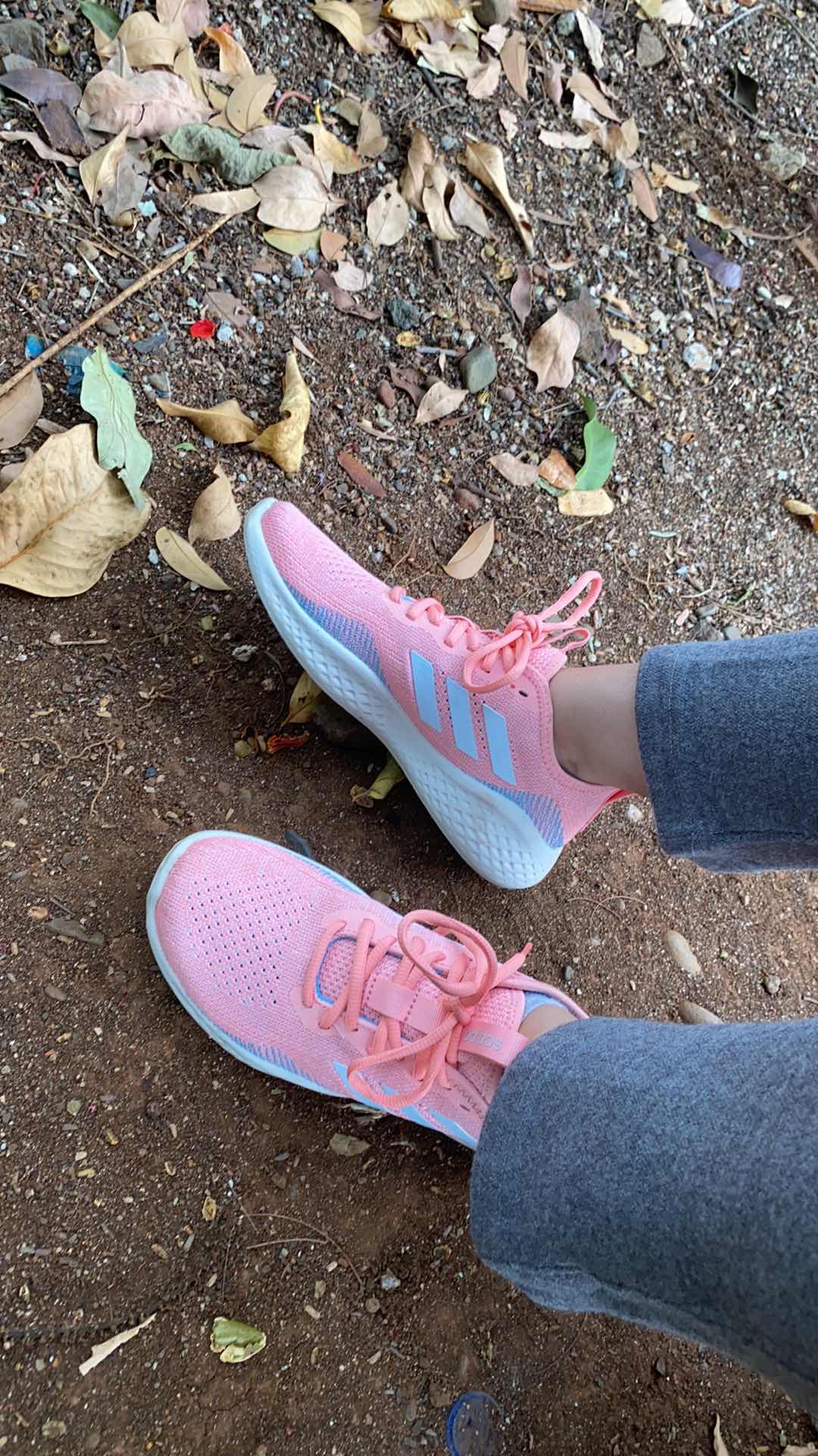 adidas RUNNING  Sepatu  Fluidflow Wanita Pink EG3670 