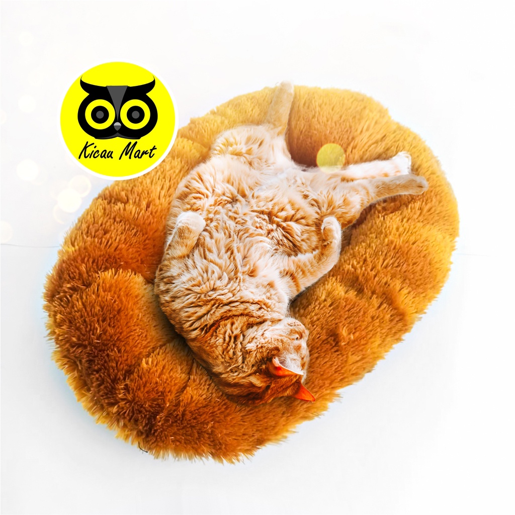 KASUR KUCING ALAS BULU RASFUR TEBAL PREMIUM SEMPATI ALAS TEMPAT TIDUR KANDANG KUCING KASUR DAN BANTAL KUCING ANJING KELINCI SUGAR GLIDER MONYET AKRFSM-2