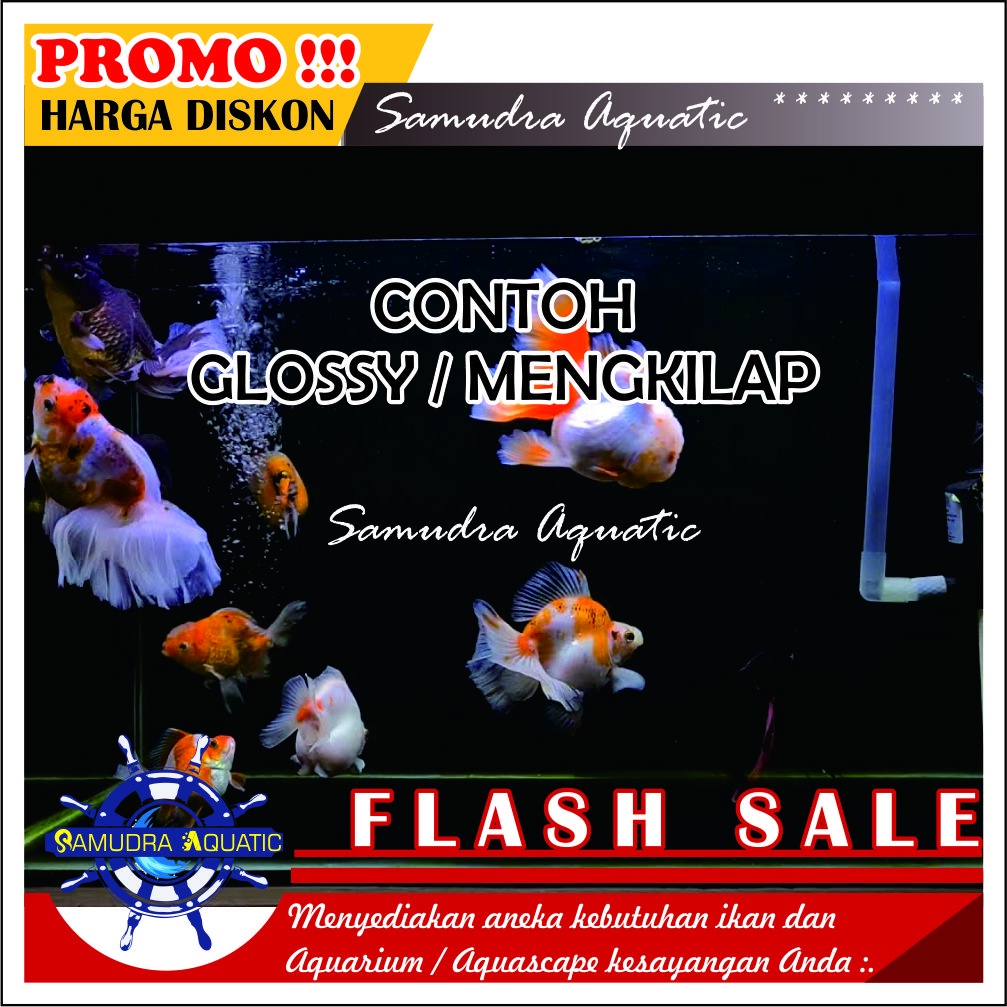 (GLOSSY, Mengkilap) Background Aquarium Aquascape SALE, Stiker Skotlet Aquarium Aquascape GRATIS PACKING KARDUS