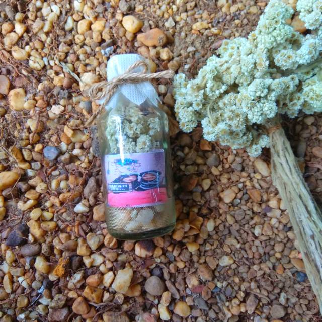 Kado wisuda/kado pernikahan/kado spesial/bunga botol edelweis/Botol bunga kering edelweish