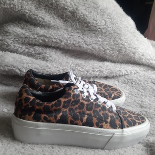 sambarose leopard