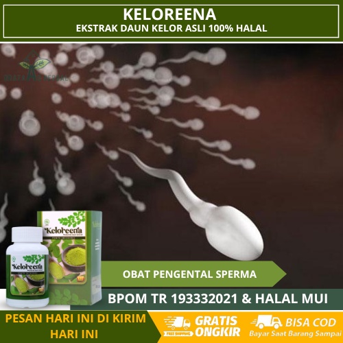 Obat Pengental Dan Penyubur Sperma Pada Pria, Mengentalkan Sperma Pria, Obat Herbal Penyubur Sperma,