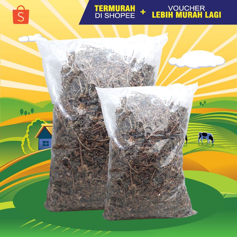 CATNIP 500 GR - Daun Akar CATNIP Makanan Mainan Kucing Catmint Bikin Kucing Fly Obat Stress 500 GR