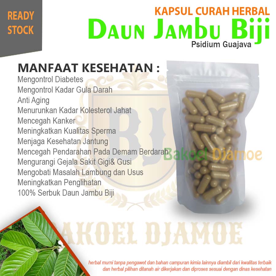 

Kapsul curah herbal daun jambu biji kapsul herbal diabetes