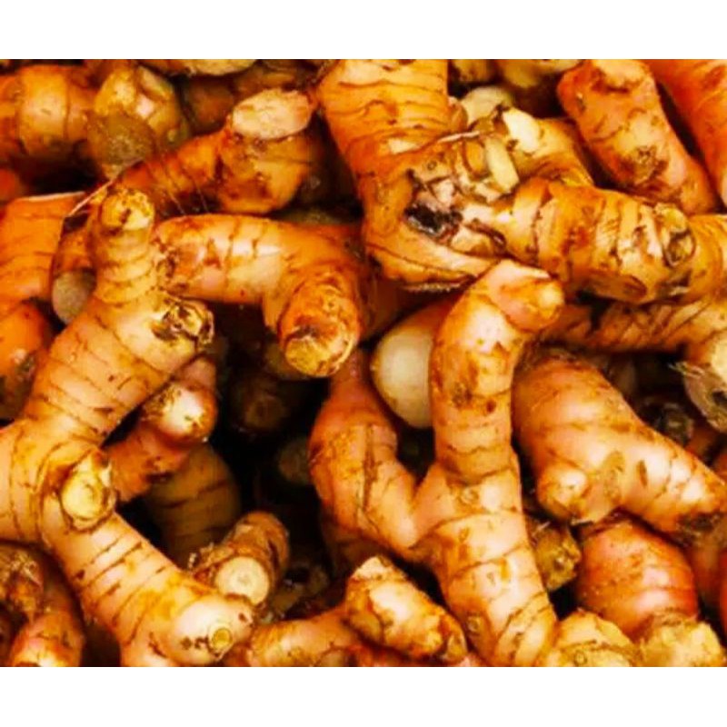 

Sayur Segar - Laos / Lengkuas 250 gr