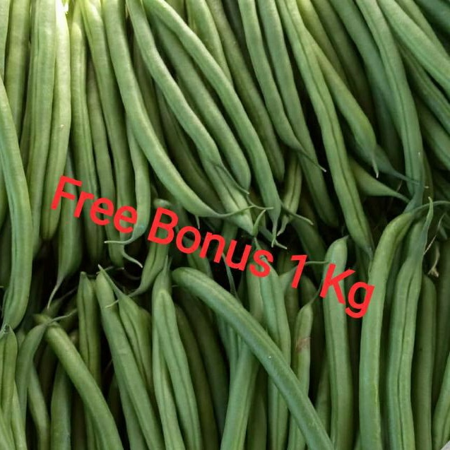 

Buncis Baby | Buncis 500Gr + Gratis Bonus