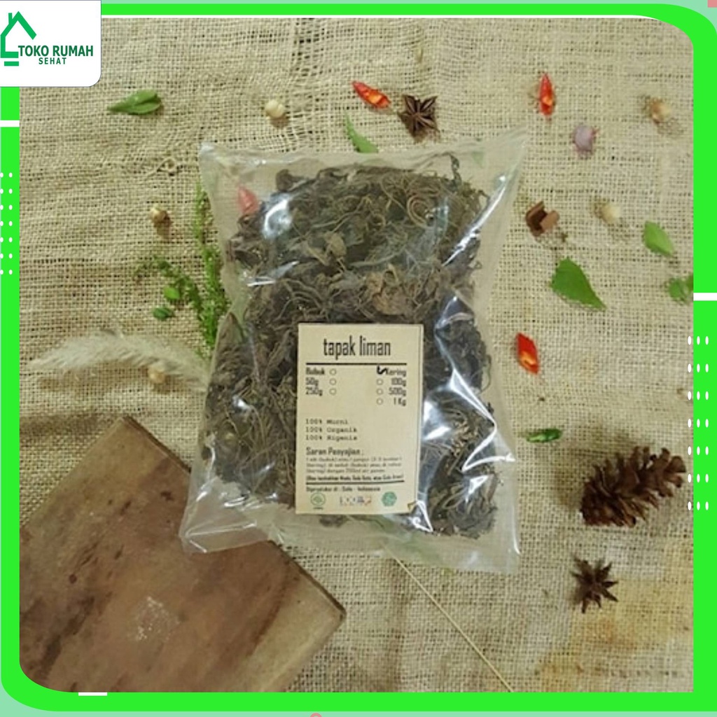 

TAPAK LIMAN KERING 250 GRAM - Elephantopus Scaber - MURNI - JSR