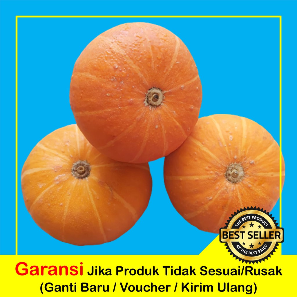 

LABU JEPANG | KABOCHA MERAH