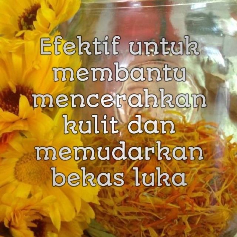 CALENDULA FACE MIST Jerawat Flek Hitam Skincare Korea Serum Paket Kecantikan Perawatan Wajah Glowing