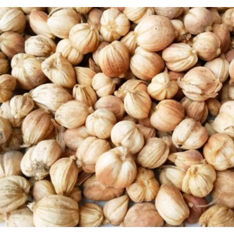 

KAPULAGA 100GR/KAPULAGA LOCAL/CARDAMON/REMPAH JSR