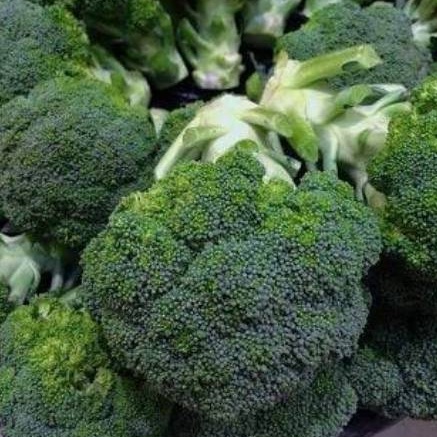 

Brokoli Bersih Segar 500gr / Fresh Broccoli