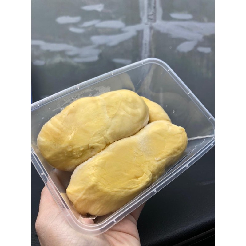 

Durian Montong (Palu,Sulawesi)