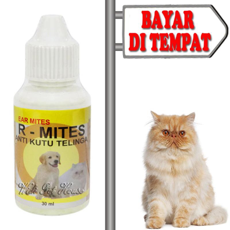 OBAT KUTU TELINGA KUCING R MITES KUCING SAKIT TELINGA BENGKAK BERAIR