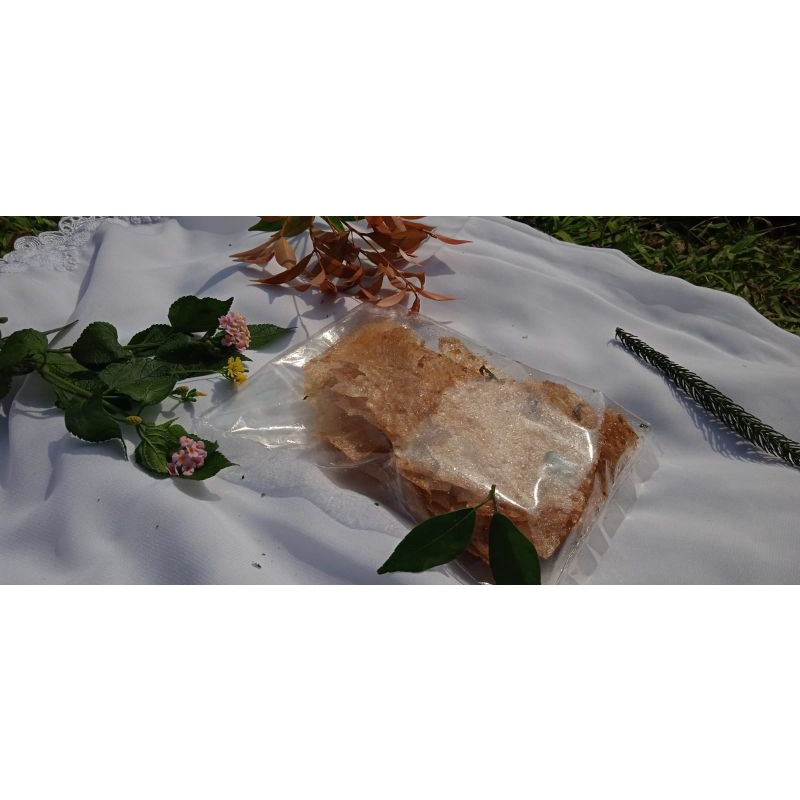 

(KERIPCA)Keripik kaca