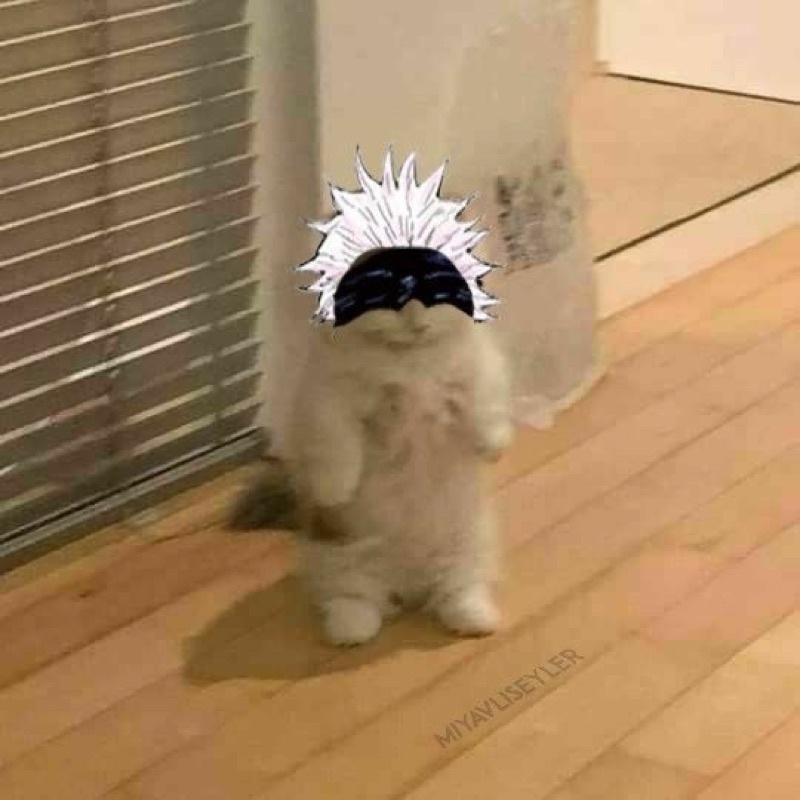 ibloom mini bread series melon pan