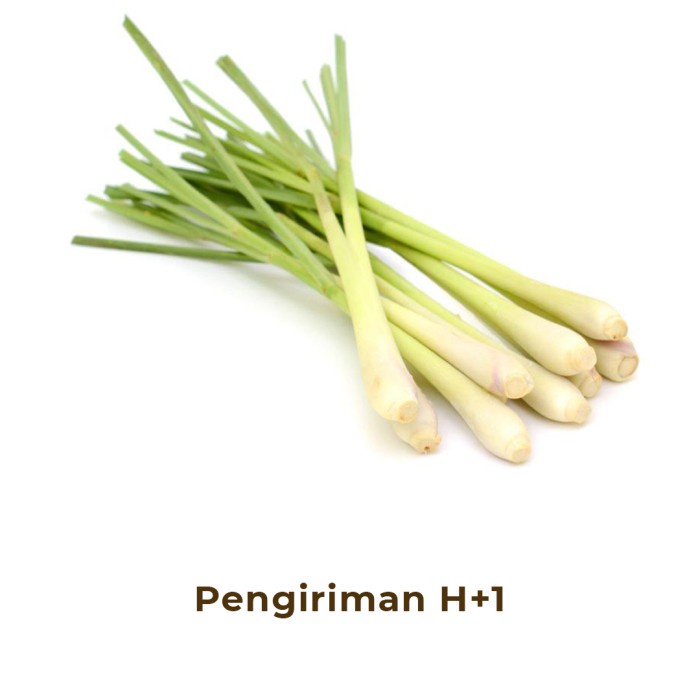 

Sereh - Lemongrass Fresh