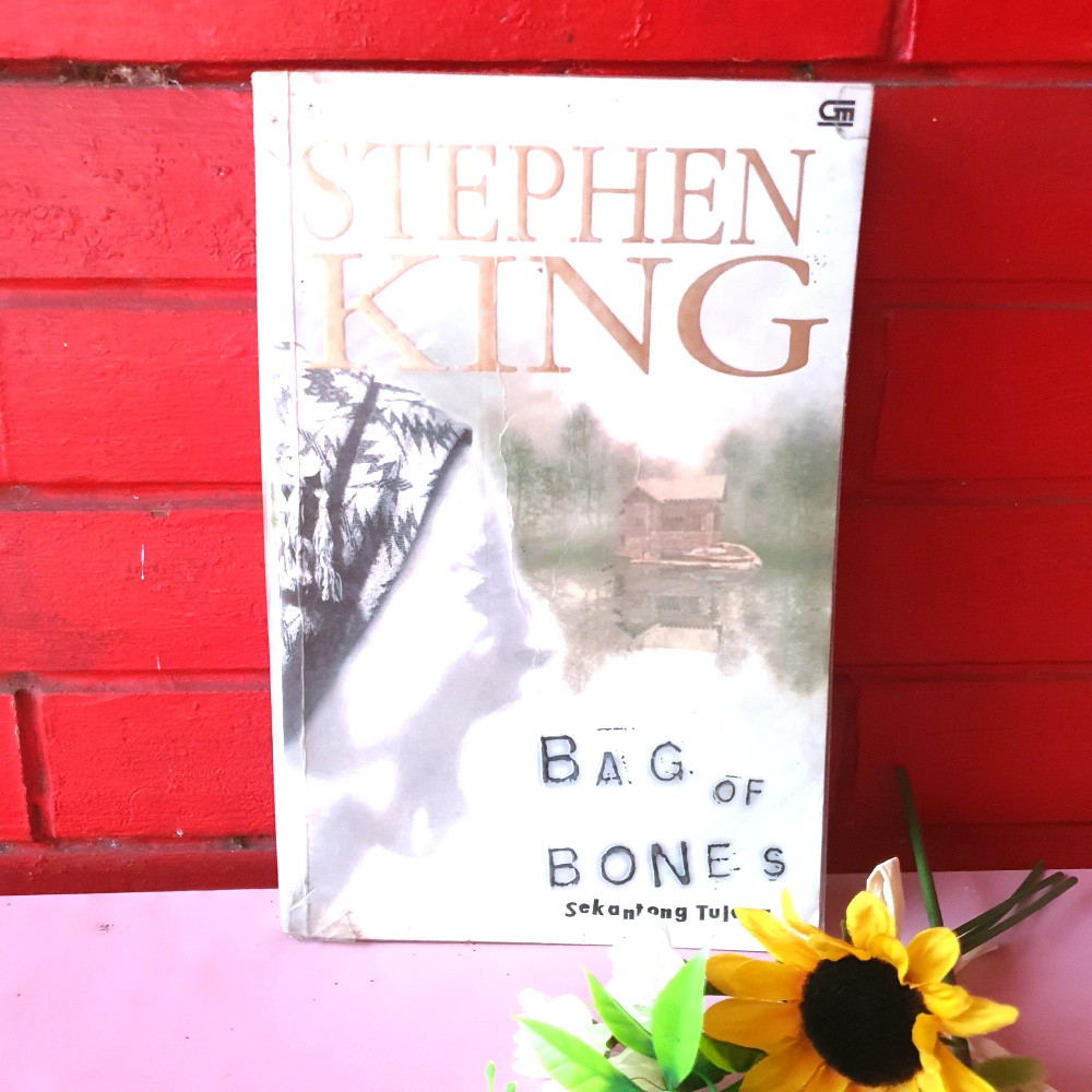 Novel Stephen King Bag of Bones