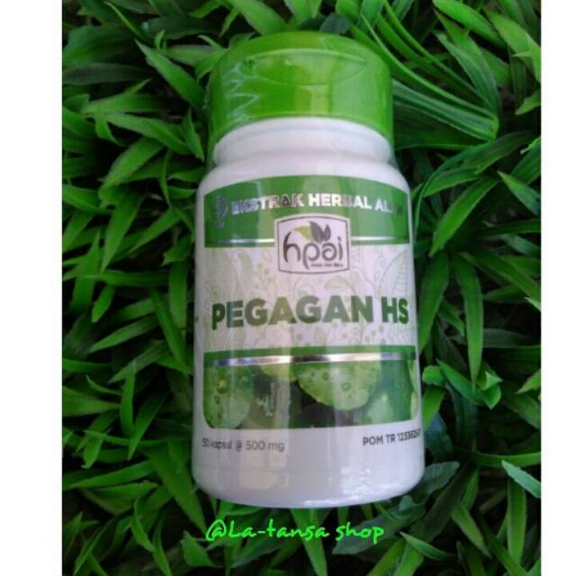 PEGAGAN HPAI