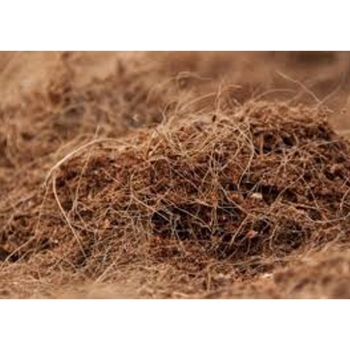 Cocopeat (Media Tanam Semai, Microgreen)