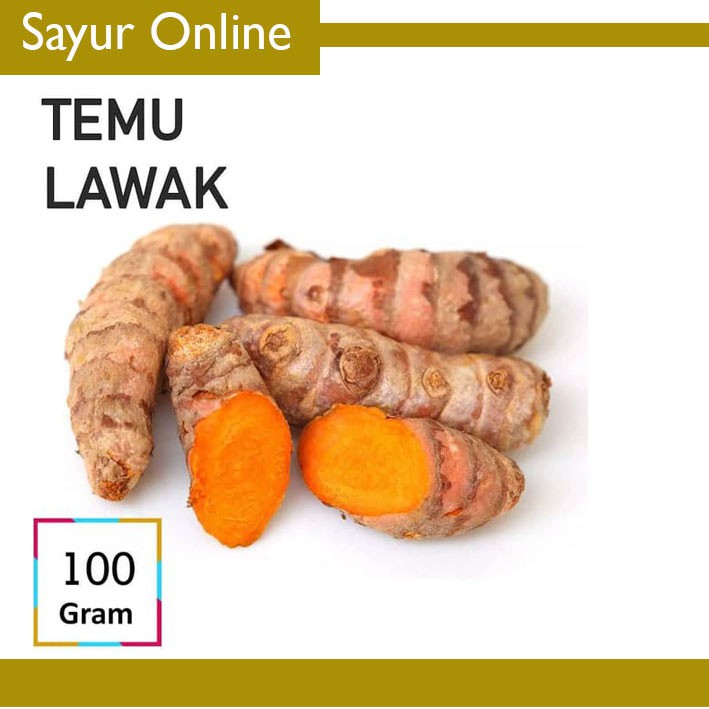 

TEMU LAWAK / Curcuma Zanthorrhiza [100g]