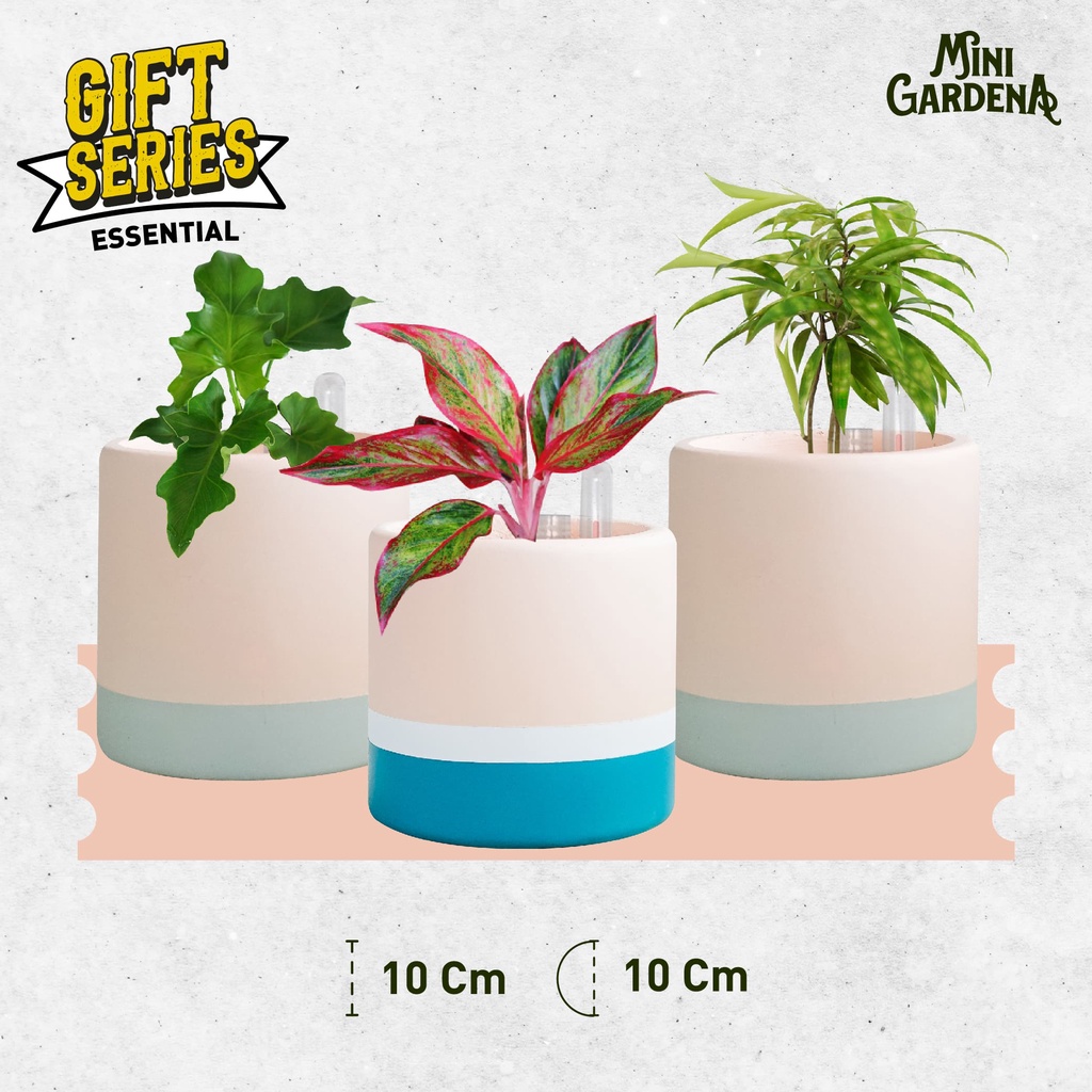 

Gift Set MiniGardena - Peach & Cream Premier