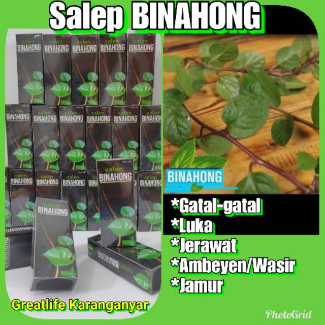 SALEP BINAHONG 100% ALAMI AMPUH MENGATASI GATAL, LUKA ...