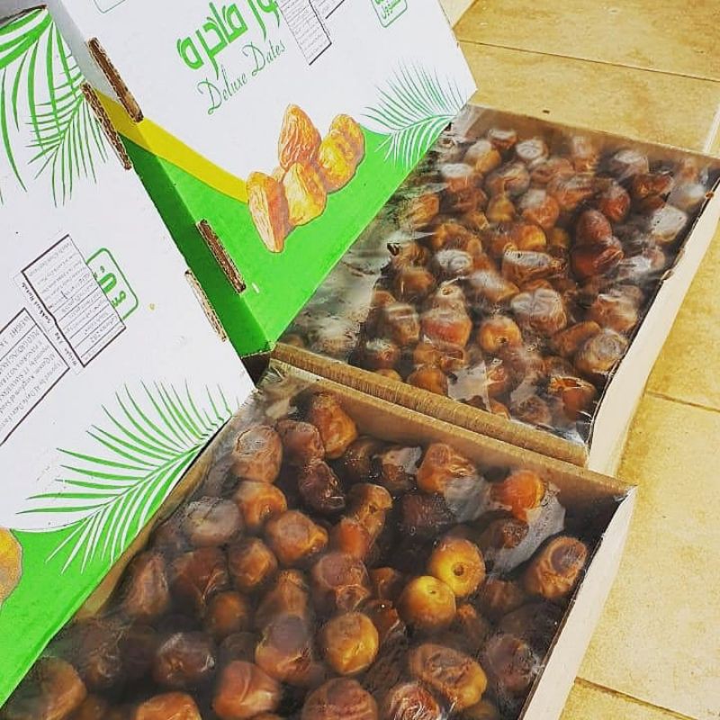 

kurma sukakri, kurma kejuu