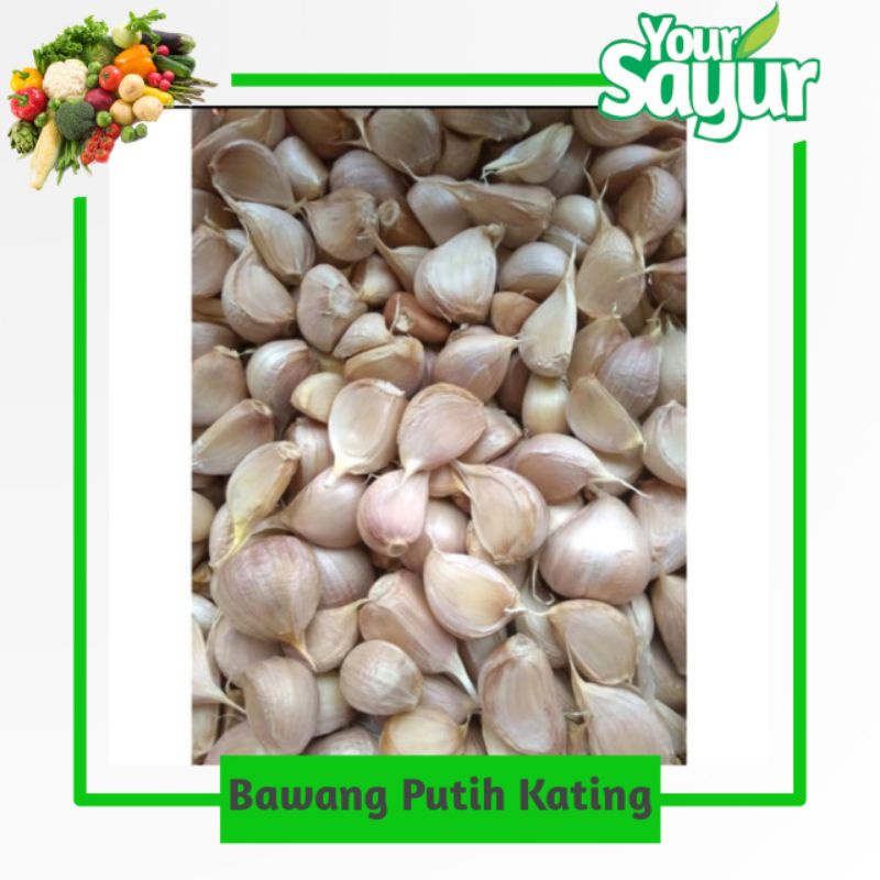 

Bawang Putih Kating