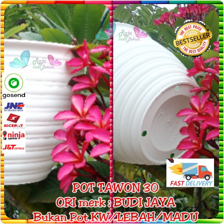 3PCS Pot Tawon 30 Cm Putih Pot 30CM Matif Tawon Plastik 30CM Pot Bunga Bulat