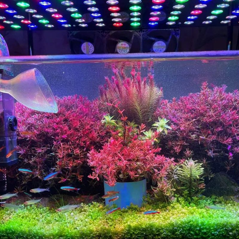 Lampu Aquarium Led - KMS 90 watt