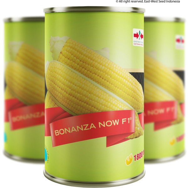 Benih Bibit JAGUNG MANIS BONANZA NOW F1 @ 1.800 Biji - Cap Panah Merah