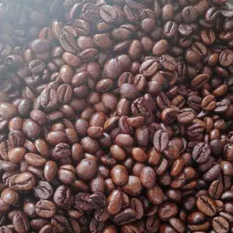 

Sidikalang Robusta Coffee 500gr