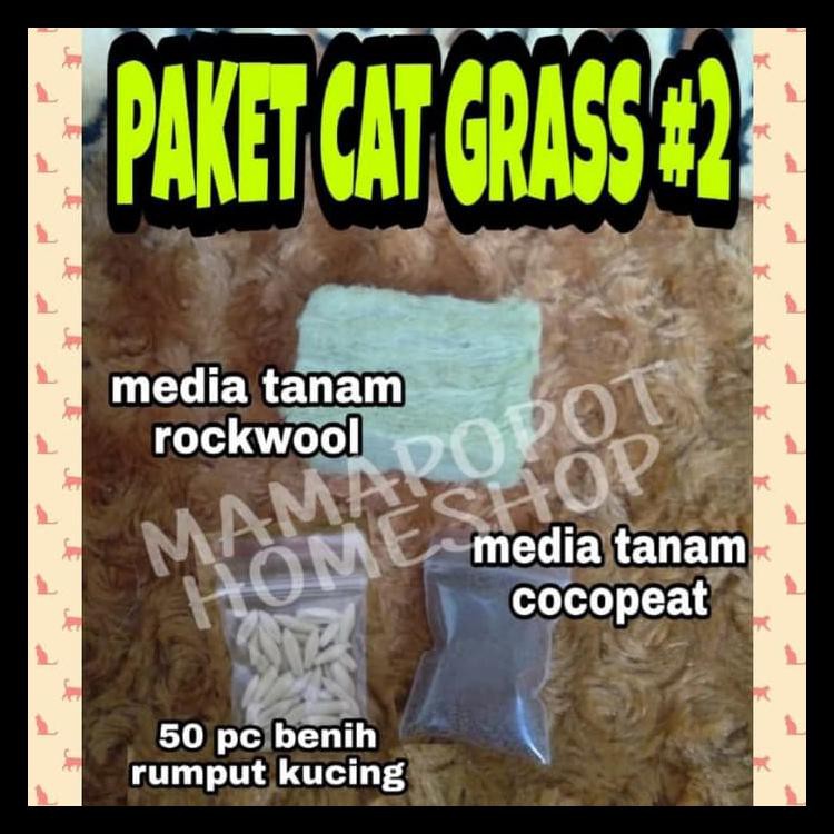 

Cat Grass #2 (Paket Benih Rumput Kucing + Media Tanam Tanpa Pot)